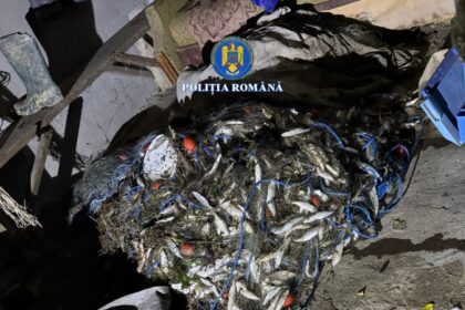 lupta impotriva braconierilor 12 kilograme de peste gasite dintr un foc 69d38c851186d