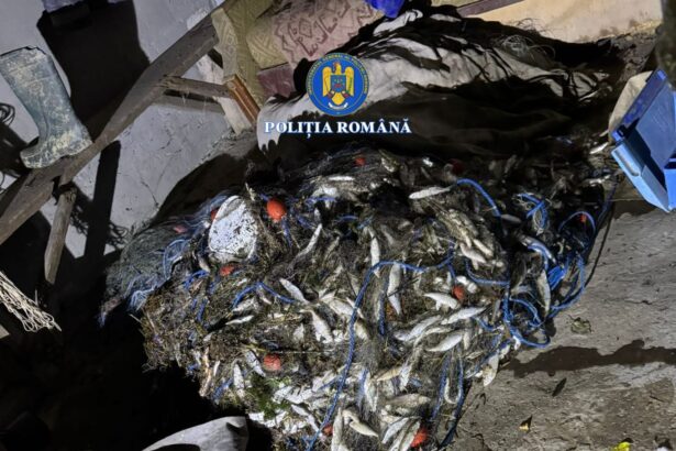 lupta impotriva braconierilor 12 kilograme de peste gasite dintr un foc 69d38c851186d