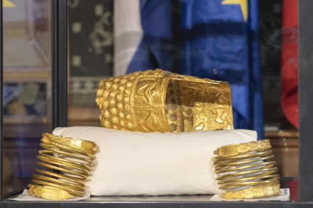 nicusor dan prima reactie dupa recuperarea coifului de la cotofenesti si a doua bratari dacice parte a identitatii noastre istorice 69ce924797894