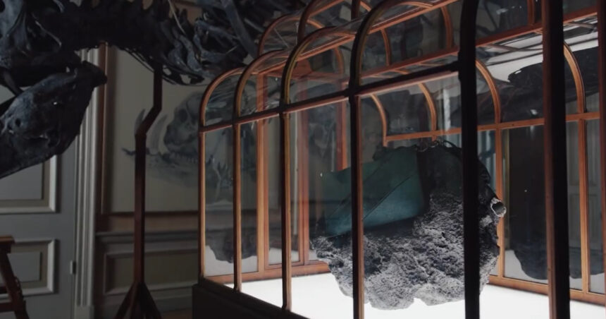 o geanta de mana facuta din colagen derivat din fosile de dinozaur va fi scoasa la licitatie pentru jumatate de milion de dolari 69d333431e663