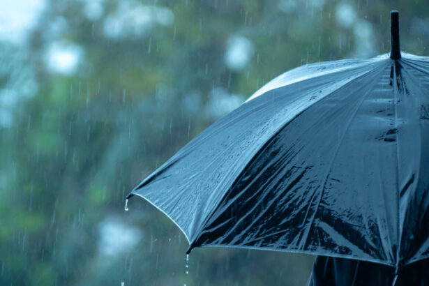 ploi grindina si lapovita la altitudini mari cum va fi vremea in bucuresti in urmatoarele zile 69ce1033cba7b