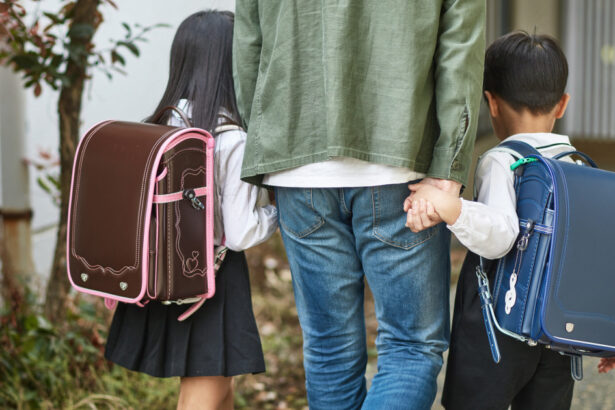 reforma istorica in japonia custodie comuna si pensie minima obligatorie pentru copii pe fondul criticilor privind rapirile parentale 69ccbb51287b7