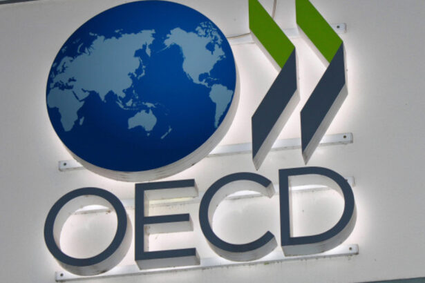 romania la un pas de aderarea la ocde un proces transformator pentru romania afirma oana toiu 69ced1a131056