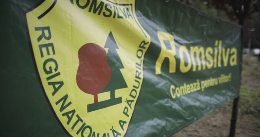 sindicalistii de la romsilva cer in instanta suspendarea masurilor de reorganizare a regiei padurilor 69cf81570b248