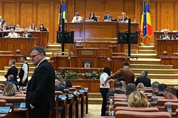 situatia traficului de droguri din constanta dezbatuta in senat ce i s a cerut sefului ipj constanta 69d2d579cd5ec