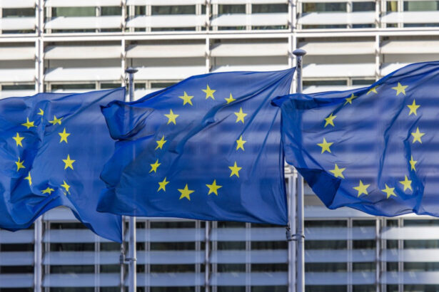 ue reactie dupa declaratiile lui trump despre nato legaturile transatlantice raman cruciale pentru securitatea noastra 69cd1314d595f