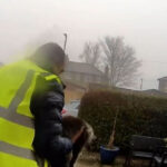 un roman din marea britanie risca sa stea cinci ani in inchisoare pentru ca a furat o pisica 69cce568cd1e6