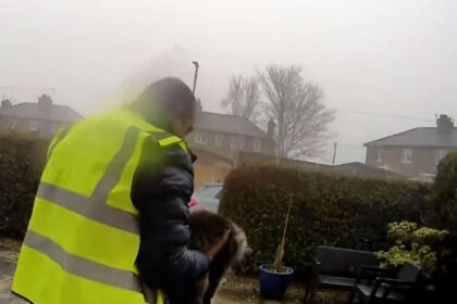 un roman din marea britanie risca sa stea cinci ani in inchisoare pentru ca a furat o pisica 69cce568cd1e6