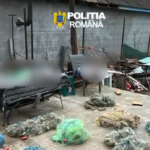 video descinderi de amploare in seimeni dunarea topalu capidava si harsova intr un dosar privind infractiuni de braconaj furt si tainuire 69cfbb2e36330