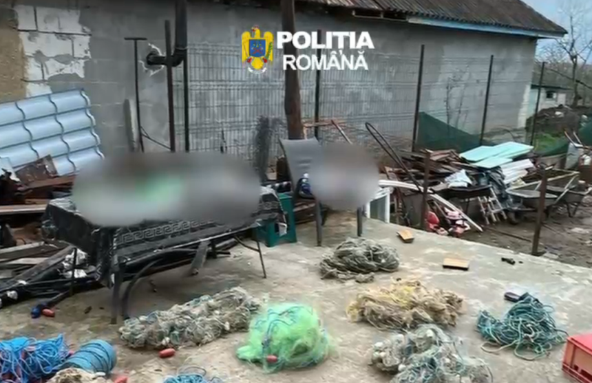 video descinderi de amploare in seimeni dunarea topalu capidava si harsova intr un dosar privind infractiuni de braconaj furt si tainuire 69cfbb2e36330