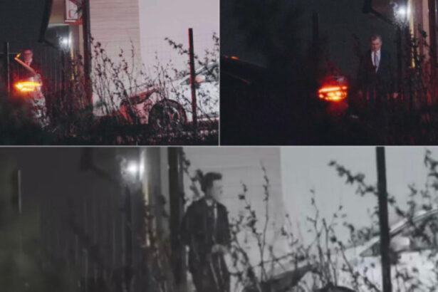 video nicusor dan pune o intrebare esentiala in scandalul pozelor publicate de elena lasconi in campania din 2025 69d51f3b58ee8