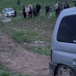 video padurari batuti de hoti de lemne in parcul natural lunca muresului 69d02a19ccde7