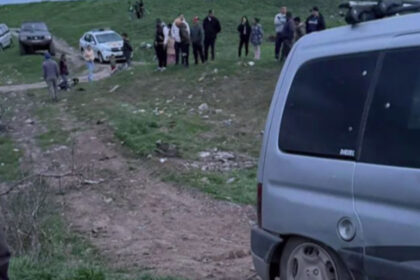 video padurari batuti de hoti de lemne in parcul natural lunca muresului 69d02a19ccde7