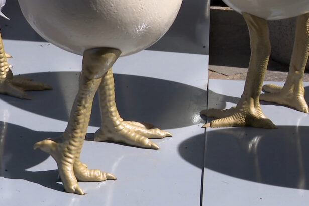 videofoto ouale cu picioare au declansat un scandal la timisoara dupa ce au fost amplasate langa o statuie conflict intre artist si primarie 69d4d1e3539ae