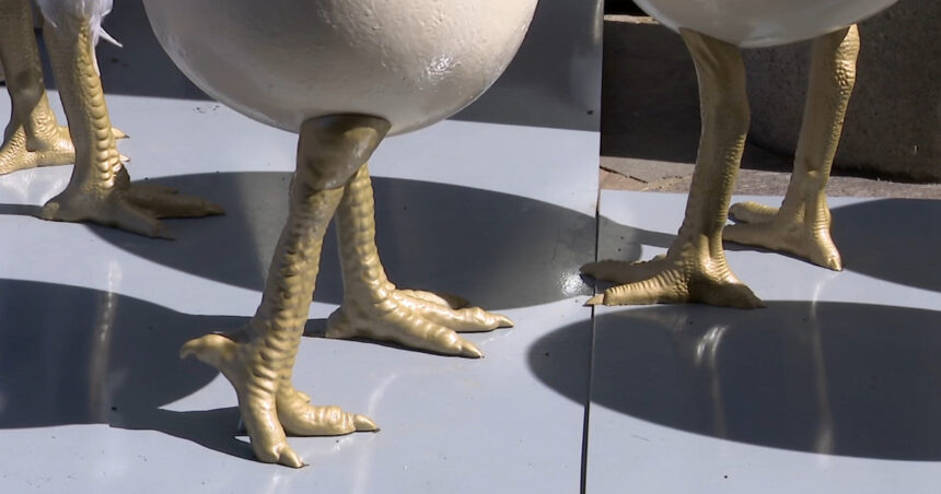 videofoto ouale cu picioare au declansat un scandal la timisoara dupa ce au fost amplasate langa o statuie conflict intre artist si primarie 69d4d1e3539ae