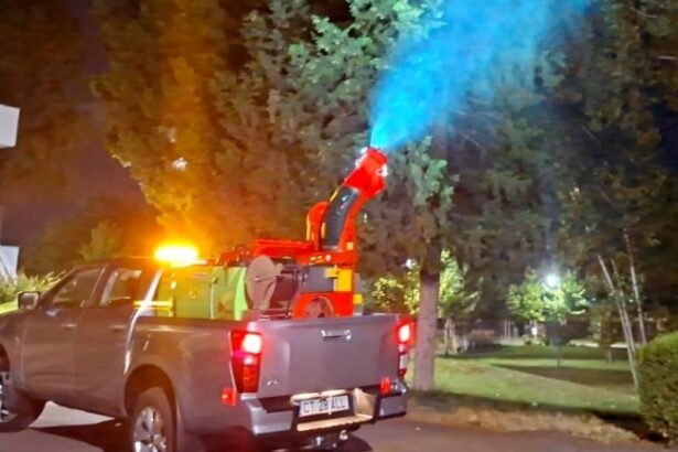 actiunile de dezinsectie reluate in constanta si mamaia 6a155a35e934f