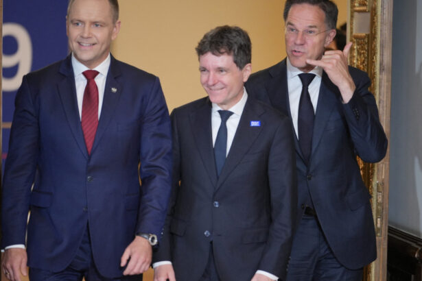 ce inseamna nato 3 0 explicatiile lui mark rutte si cele ale lui nicusor dan privind viitorul aliantei 6a0491b492461