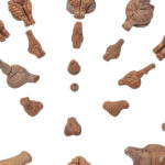 civilizatia cucuteni trypillia a fost inclusa pe listele indicative unesco 69fc9aa5955c9