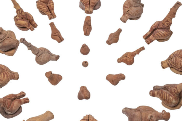 civilizatia cucuteni trypillia a fost inclusa pe listele indicative unesco 69fc9aa5955c9