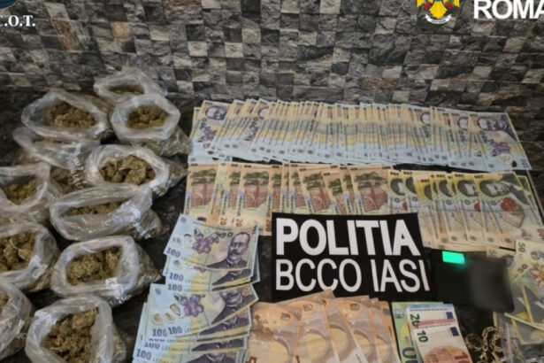 cocaina vanduta intr o vulcanizare din iasi cinci persoane au fost arestate preventiv 6a0db01760caf