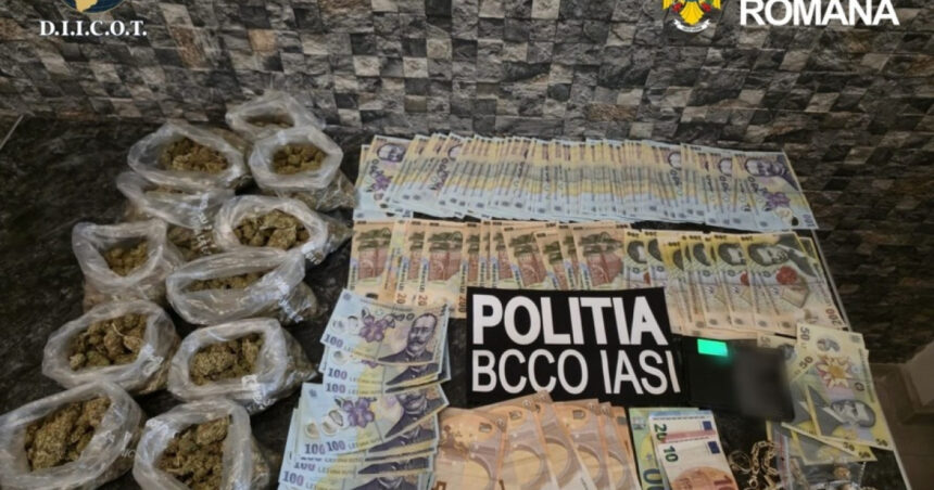 cocaina vanduta intr o vulcanizare din iasi cinci persoane au fost arestate preventiv 6a0db01760caf