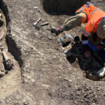 descoperire arheologica pe santierul centurii timisoara vest razboinic ingropat alaturi de calul sau si de artefacte pretioase 69fad19f61b87