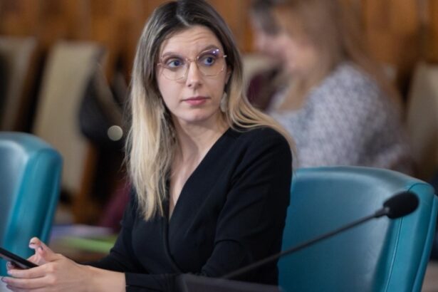 diana buzoianu programul rabla 2026 va pune accent pe masinile produse sau asamblate in europa 6a002a83491fc