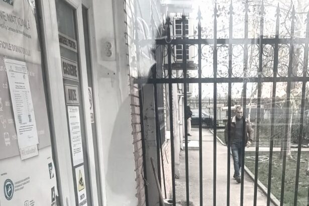didi si vizitele la teo hira 69ff39b25b78f