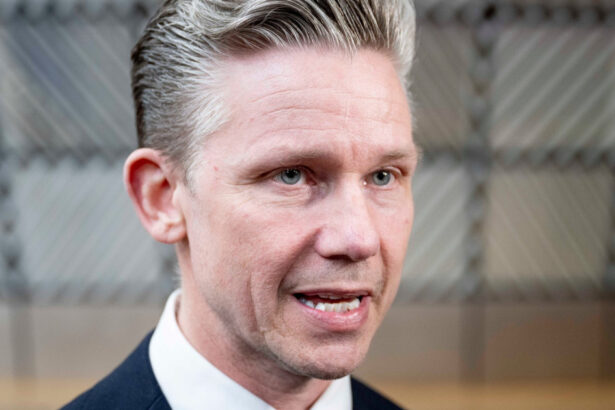 exclusiv pal jonson ministrul suedez al apararii daca romania si flancul estic al nato sunt puternice la fel e si flancul nordic 6a04d8049ec4f