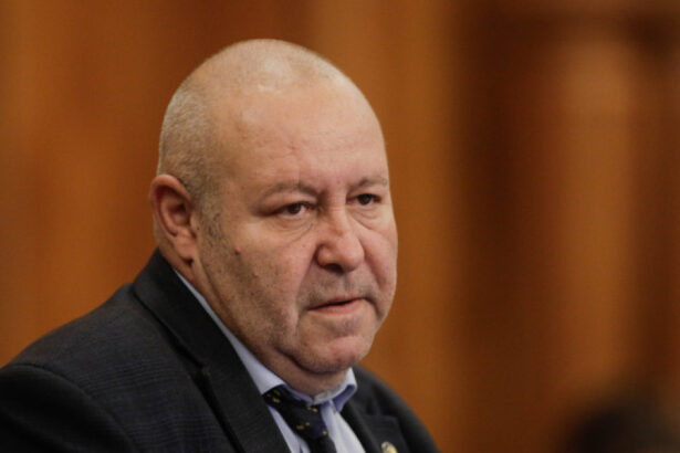 fenechiu exista discutii in pnl privind un congres in perioada urmatoare sa se clarifice aspecte ale traiectului partidului 6a0b2963317f3