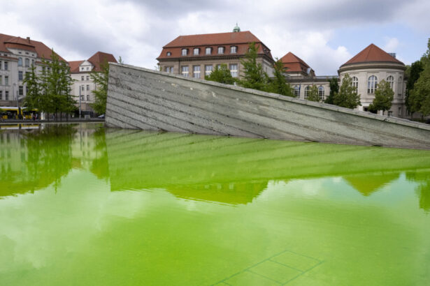 galerie foto protest verde in germania fantani colorate in zeci de orase de activisti ai miscarii extinction rebellion 6a0f47e664f0f