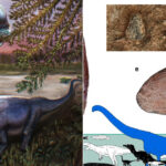 galerie foto ultimul titan al asiei de sud est descoperit in thailanda dinozaurul de 28 de tone ar fi fost cel mai mare din regiune 6a0aa726055c0