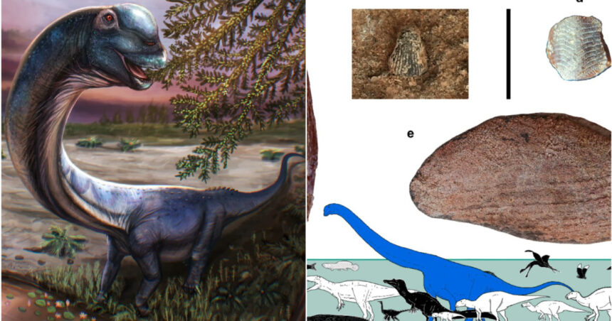 galerie foto ultimul titan al asiei de sud est descoperit in thailanda dinozaurul de 28 de tone ar fi fost cel mai mare din regiune 6a0aa726055c0