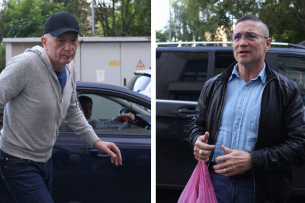 interventii in dosare si presiuni cu anchete penale cum ar fi abuzat procurorii gigi stefan si teodor nita de functiile lor surse 6a070a85646c2