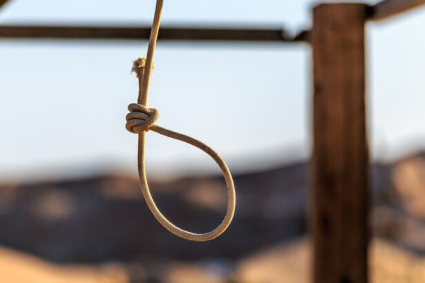 iran o femeie condamnata pentru ca si a ucis sotul si care a nascut un copil in inchisoare a fost executata 6a15c345abf8d