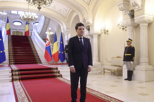 nicusor dan nu e vorba de o alegere intre ue si sua cu cat europa este mai puternica cu atat nato este mai puternica 6a02ddfc1ef03