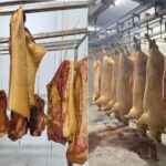 niste afaceristi din judetul constanta au cerut ordin de protectie impotriva furnizorului de carcase de porc se ajunsese la amenintari 6a14c3facc505