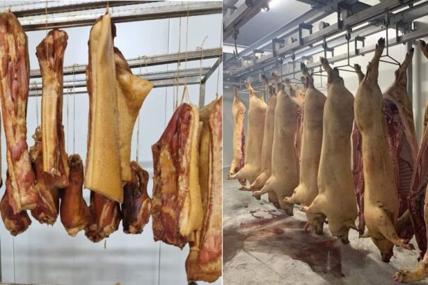 niste afaceristi din judetul constanta au cerut ordin de protectie impotriva furnizorului de carcase de porc se ajunsese la amenintari 6a14c3facc505