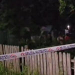 noi detalii in cazul copilului de 4 ani ucis de un caine ciobanesc primar animalul era legat si cel mic a mers sa i dea de mancare 6a14165de785a