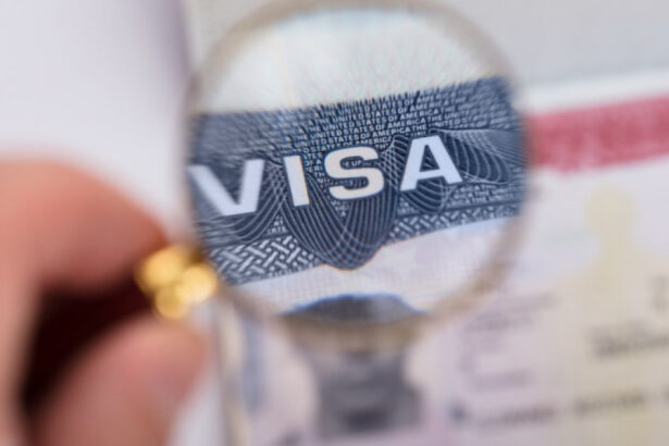 oana toiu programul visa waiver este parte din subiectele reconsiderate de administratia trump si are nevoie si de un acord politic 6a0c73ae074cf
