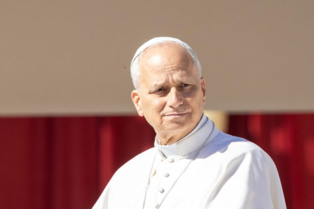 papa leon al xiv lea aproba o comisie la vatican dedicata reglementarii inteligentei artificiale 6a0897cf7b3fb