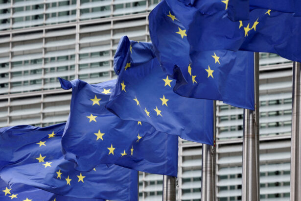 romania si alte 14 state ale ue declaratie privind cadrul financiar multianual 2028 2034 masurile si alocarile cerute de semnatare 6a151bc2b51f6