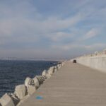 scandal in portul constanta dupa interzicerea pescuitului un senator cere explicatii autoritatilor 6a1387ae57662