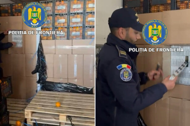 tigari de contrabanda in valoare de 2 milioane de euro ascunse printre lazi cu portocale un roman a fost arestat in giurgiu 69fd9b4b7c40d