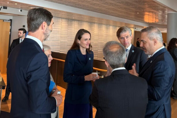 toiu la reuniunea ministrilor de externe nato cand contesti finantarea apararii romaniei cu razboi la granita faci un joc periculos 6a104895d771a
