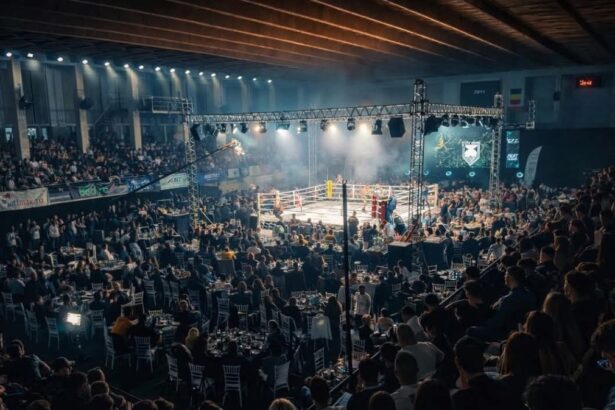 top elite fighting championship aduce spectacolul din ring in statiunea mamaia 6a15a91eea96b