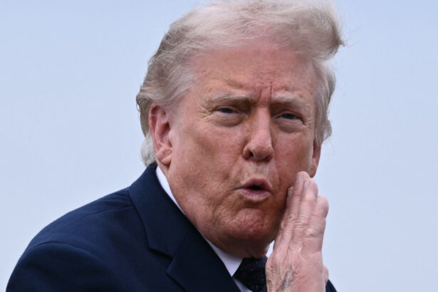 trump vrea un miting in locul concertelor pentru independenta sua atrag mai mult public decat elvis in perioada sa de glorie 6a1b5da515e13