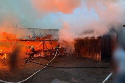 un incendiu violent a cuprins doua adaposturi de animale intr o localitate din suceava 69fd009947fa4