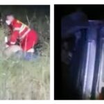 video acuzatii dosarul unei sicanari in trafic soldat cu decesul unei persoane rezultatul coruptiei organelor judiciare pedeapsa de 8 ani e prea mare 6a102e11475a7