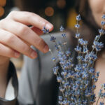 video afaceri profitabile cu miros si aroma de lavanda cum a reusit planta decorativa sa devina astazi ingredient in prajituri si cosmetice 6a00141c0830d